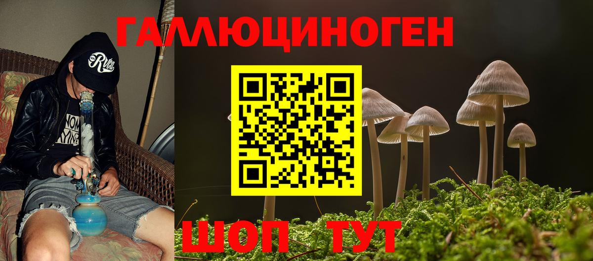 Галлюциногенные грибы Psilocybe Берёзовский